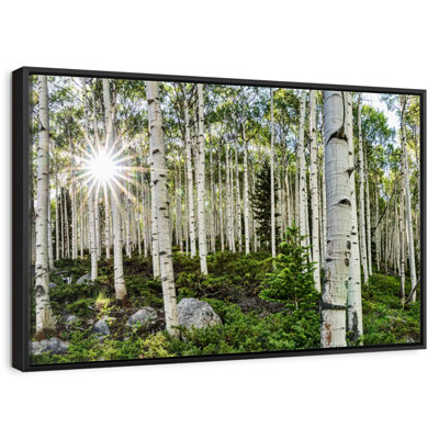 Harnek Aspen Forest Sunburst