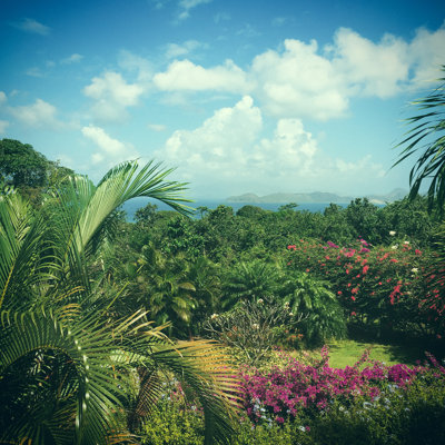 Carribean Island View - Wrapped Canvas Print