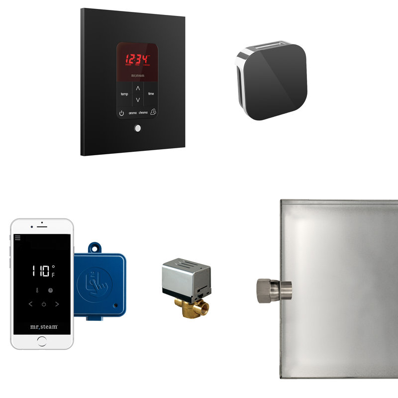 Contrôle du générateur de vapeur mr steam butler, Noir