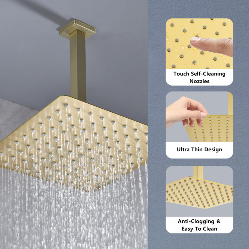 Rain Fixed Shower Head, Brushed Gold