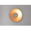 Carys Glass LED Flush Mounted Sconce
