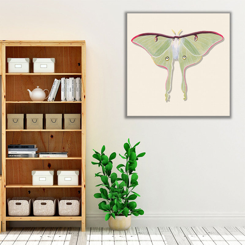 «Watercolor Moths IV», reproduction d'art sur toile, H 16 po x l 16 po