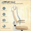 Chaise de bureau ergonomique avec accoudoir rabattable, chaise de bureau en filet, appui-tête rotatif, support lombaire réglable-432827631-432827625