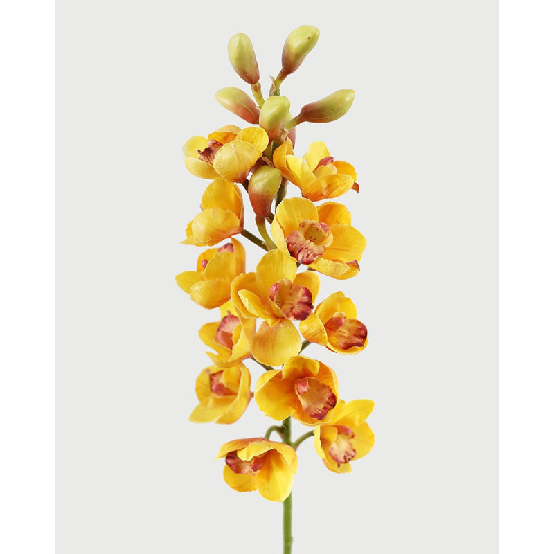 Cream Cymbidium Orchid 33", Yellow Orange