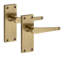 Golden Grace 4 Pairs Victorian Design Straight Lever Door Handles Antique Brass Durable Metal Backplate Internal Latch Set with Hinges - 120 x 40mm