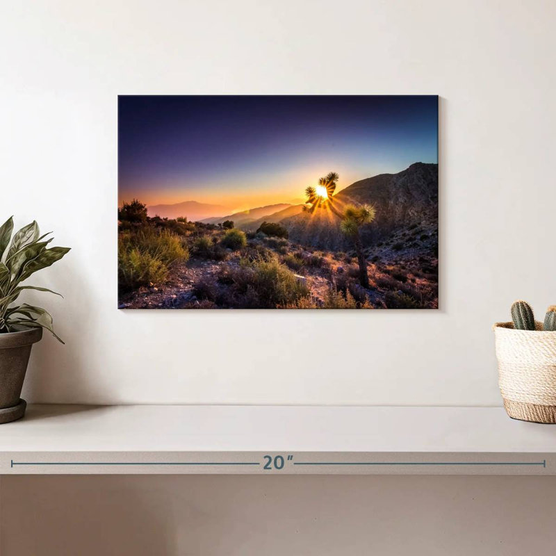 Hannes California Desert Sunrays, H 8 po x l 12 po