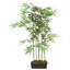 Faux Bamboo Tree in Pot-1539399397