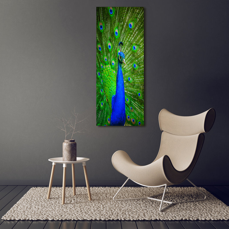 Peacock - Wrapped Canvas Print