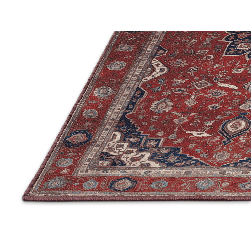 Tapis brun lavable à la machine, Rectangulaire 2 pi x 3 pi