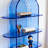 Blue acrylic multi-layer display bookcase-1218799536