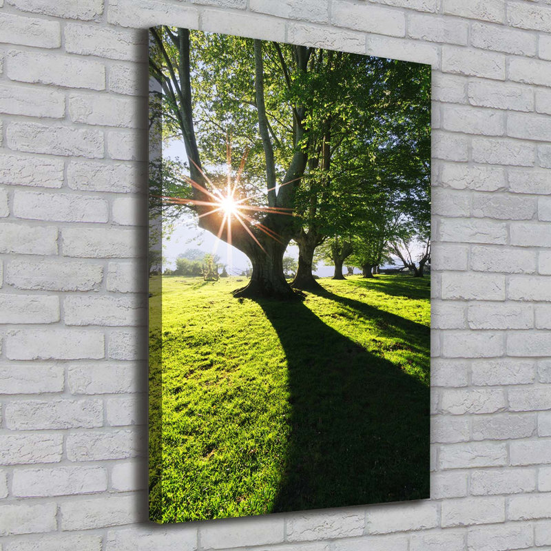 Park - Wrapped Canvas Print