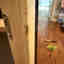 Customer photo 3 of 3