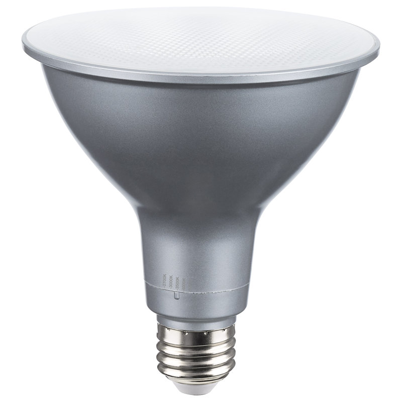 21 Watt Silver Bulb