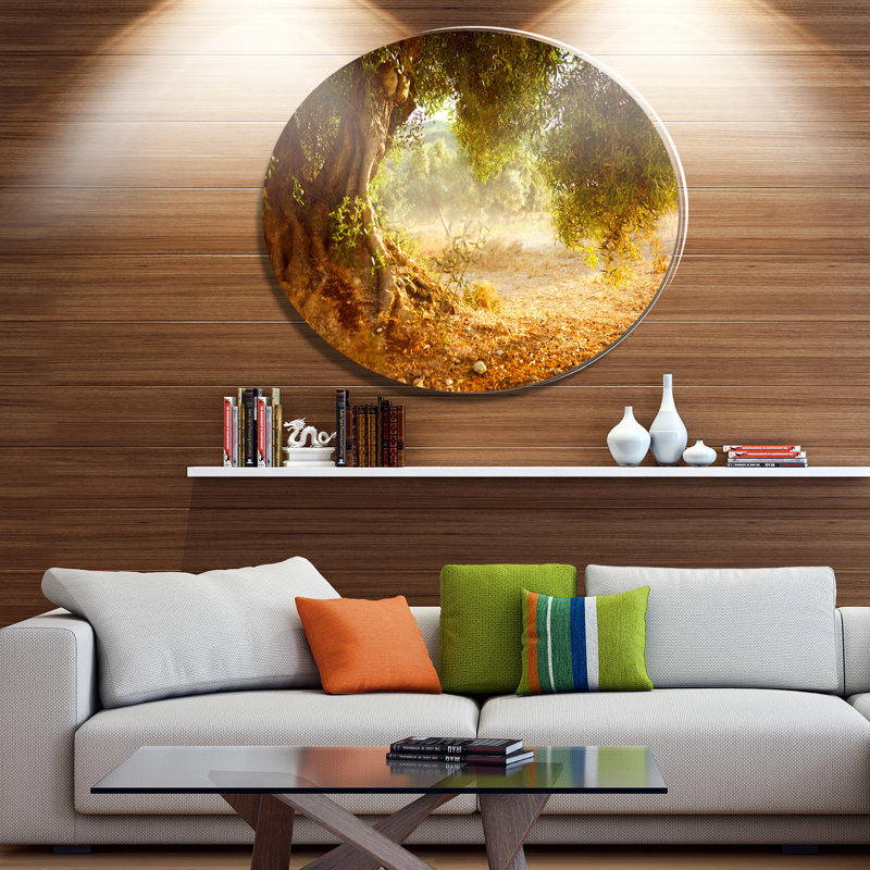 «Beautiful Old Olive Tree», reproduction de photo sur métal, H 23 po x l 23 po
