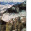 Vidur «Colorado Mountains 4», reproduction sur toile tendue-22073971