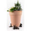 Scottish Terrier Dog Bronze Coloured Planter Feet In Gift Box