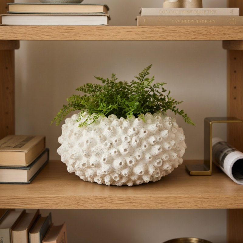 Bol corail Reef Bloom