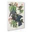 White Crowned Pigeons by John Audubon - Wrapped Canvas Painting-55305444