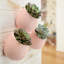 Pot de fleurs mural en plastique-734562128-734562130