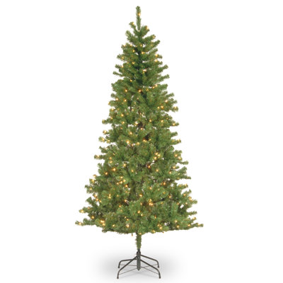 Grand sapin canadien avec lumières claires