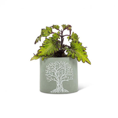 Gris avec pot à fleurs blanc