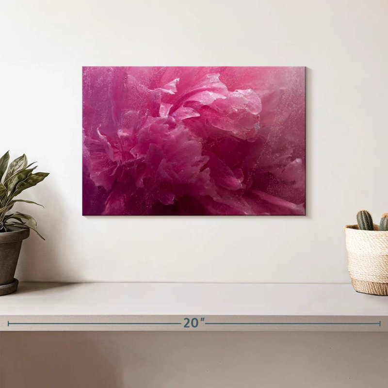 Pivoine rose Harnek, H 8 po x l 12 po