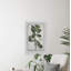 The Foliage by Parvez Taj - Single Picture Frame Print-790183313