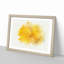 Sole Yellow Daffodil in Abstract - Picture Frame Painting Print-55726429-55726436