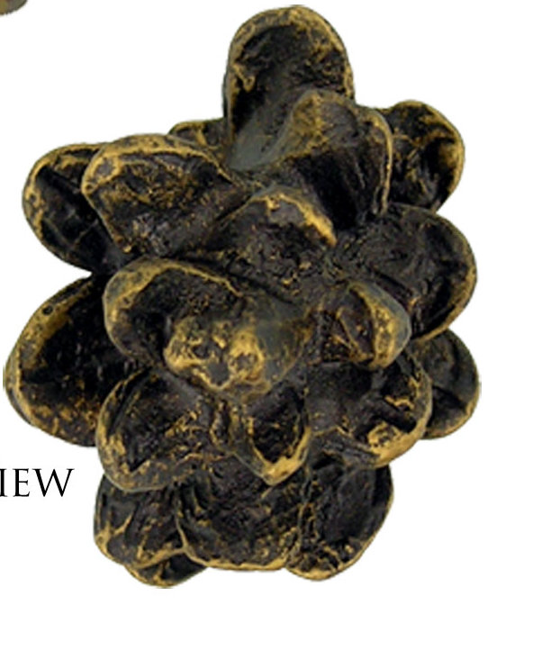 Fruits Of Nature Novelty Knob