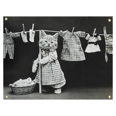 Tapisserie de photo à linge rétro chat