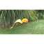 Art de jardin gold perroquet