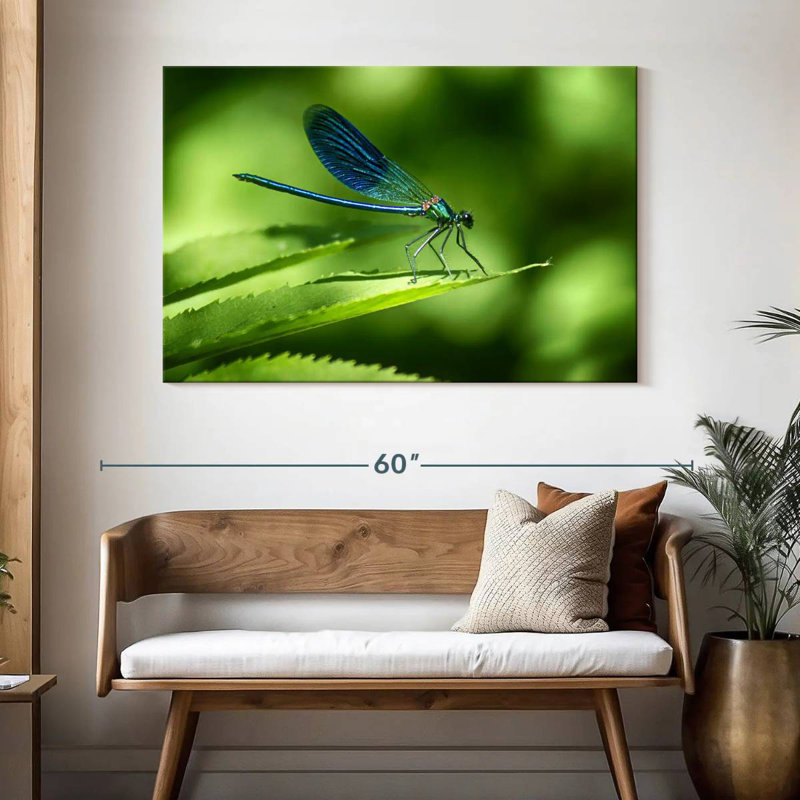 Brampt Dragonfly On A Leaf