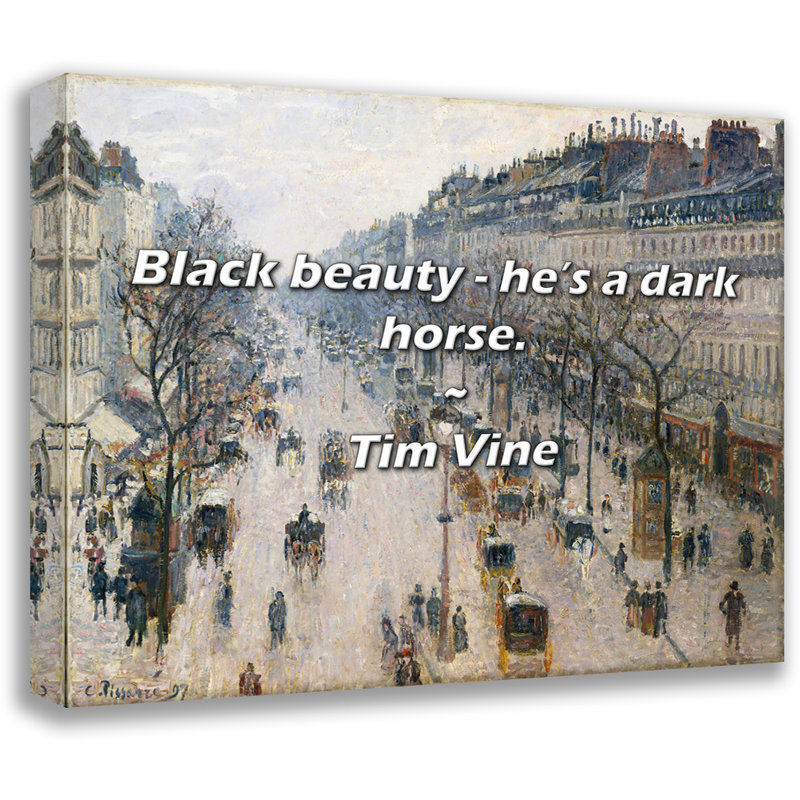 Citation de Tim Vine: beauté noire - c'est un cheval noir., H 20 po x l 24 po