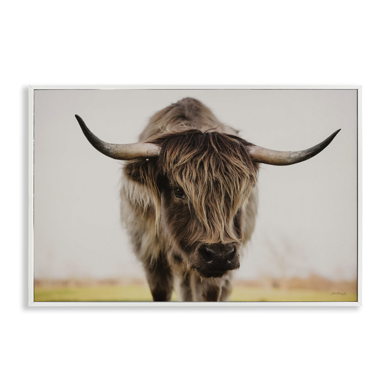 «Longhorn with Piercing Gaze», estampe numérique, conception de Dakota Diener, H 20 po x l 30 po