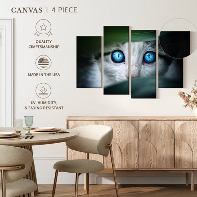Chat aux yeux de cristal Brampt