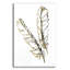 «Gilded Red Tailed Hawk Feather» par Chris Paschke-207341647