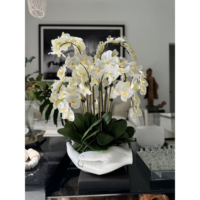 Orchid Floral Arrangement in Vase, White
