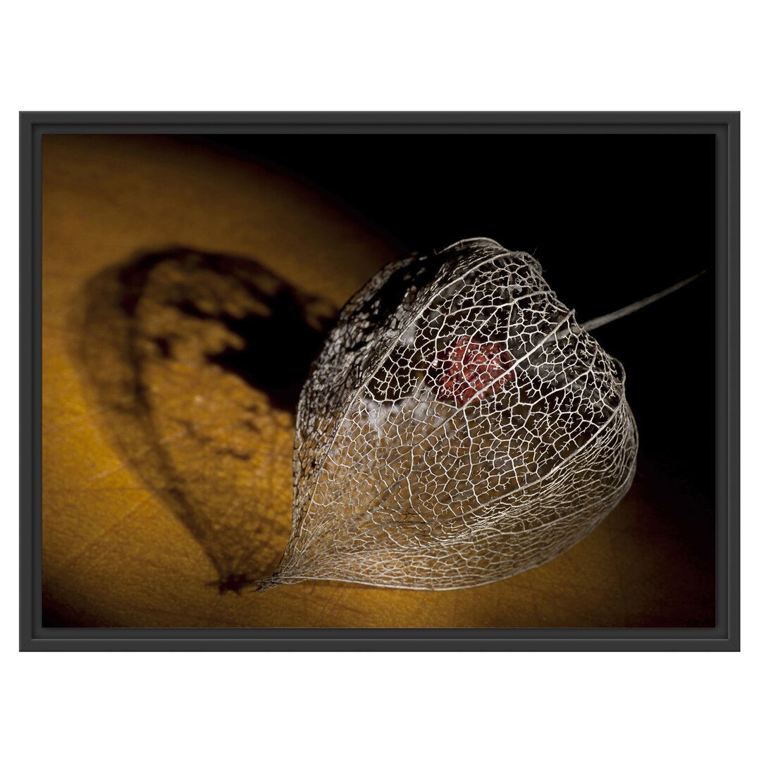 Gerahmtes Wandbild Schatten einer Physalis