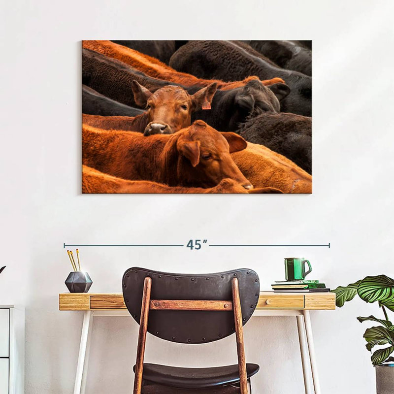 Beef Cattle, 26" H x 39" W