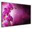 Print on Canvas-25528836