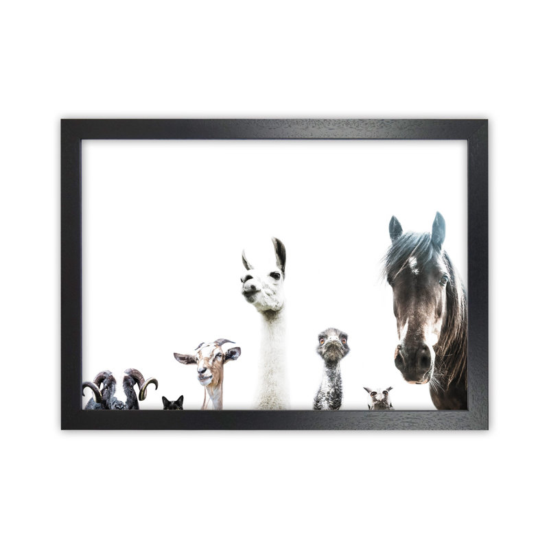 Animal Crew by Victoria Frost - Print, 46cm H x 63cm W x 3cm D, Black Framed