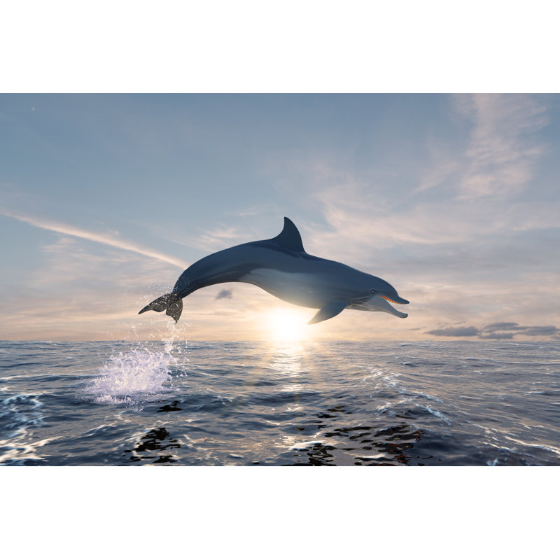 Dolphin Juming In The Ocean by Steved_np3 - Wrapped Canvas Print, 81cm H x 122cm W