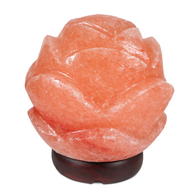 Lotus Globe 7 lbs Salt Lamp