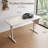 Electric Height Adjustable Standing Desk with Storage Bag & Memory Presets, Ergonomic Sit-to-Stand Computer Desk, Home Office Workstation-1363136625-1363136591