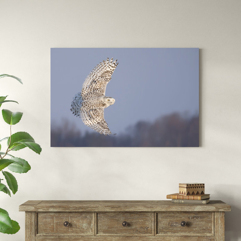 Hibou en vol V, H 32 po x l 48 po x P 1,25 po