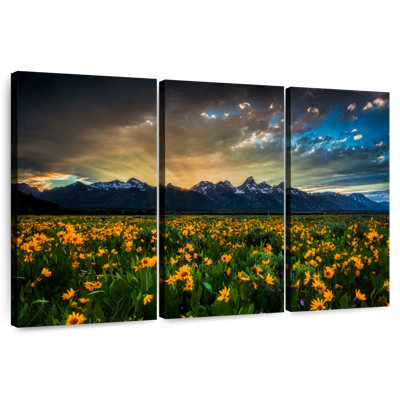 Rayons de soleil Alvord Grand Teton