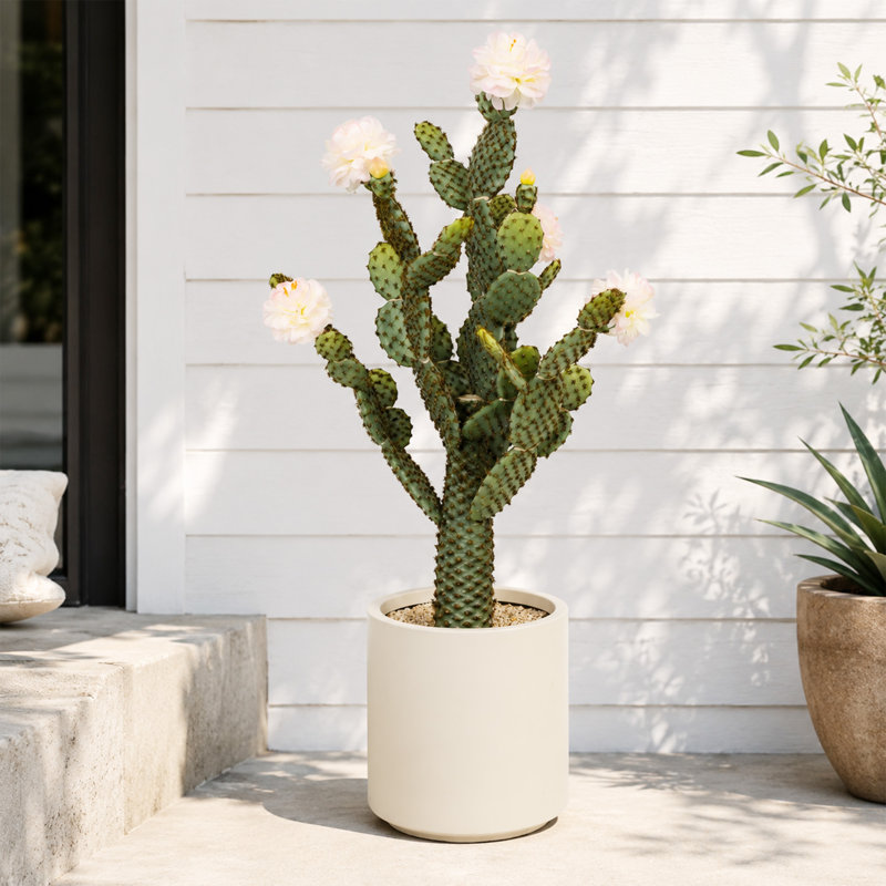 Cactus pêche artificiel à tige simple 2,5 pi avec fleurs roses en pot blanc 2,5 pi, H 33 po x l 10 po