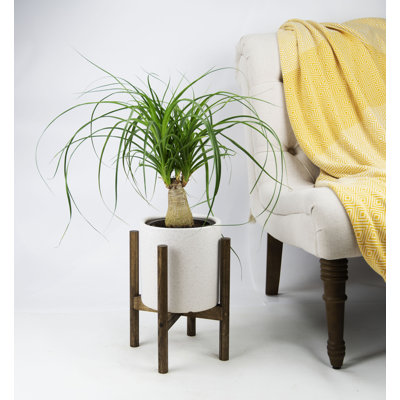 Pot de fleurs en céramique Klinger