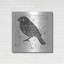 Luxe Bird Art «Bird Element I» par Courtney Prahl, «Bird Element I» par Courtney Prahl-101614817