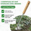 Ensemble de 2 extracteurs de mauvaises herbes - Outils à main de jardin avec extracteur de mauvaises herbes à 4 dents et outil de désherbage pour patio, pelouse, plates-bandes et trottoirs
